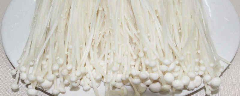 如何发金针菇 如何发金针菇