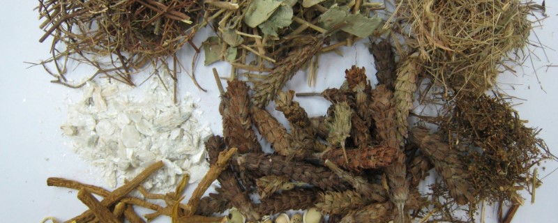 种中药材利润大吗 种中药材利润大吗