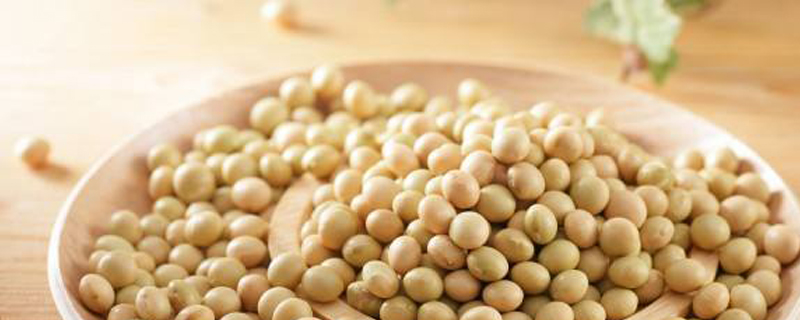 大豆一年可以种几季 大豆一年可以种几季