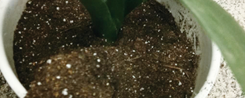 种植土规范要求 种植土规范要求