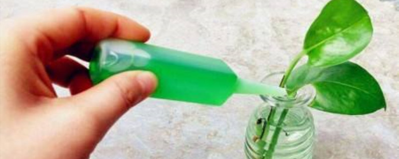 土培植物营养液滴几滴