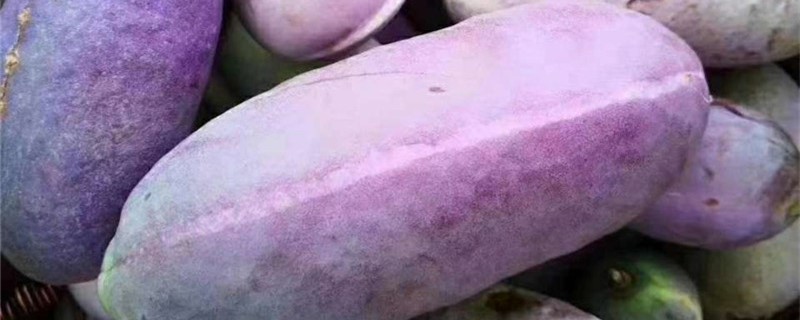 八月瓜是佛手瓜吗 八月瓜是佛手瓜吗