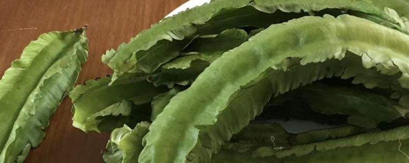 四棱豆种植技术与时间 四棱豆种植技术与时间