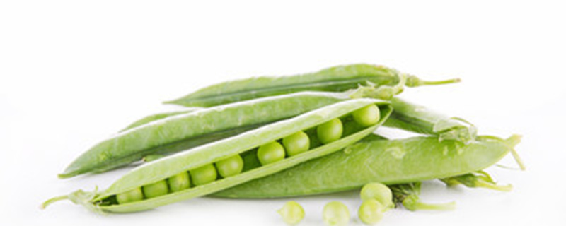 麦豆是豌豆吗 麦豆是豌豆吗
