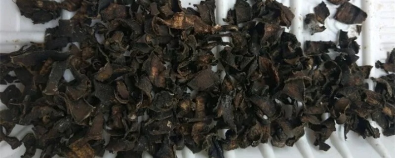 香蕉皮花肥适合哪些花
