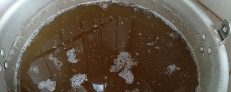 隔夜茶可以浇什么花 隔夜茶可以浇什么花