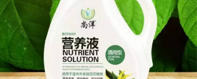 营养液可以喷叶子吗 营养液可以喷叶子吗