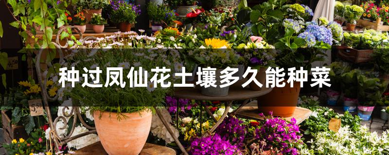 种过凤仙花土壤多久能种菜