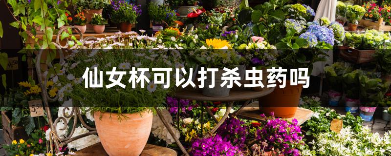 仙女杯可以打杀虫药吗 仙女杯可以打杀虫药吗