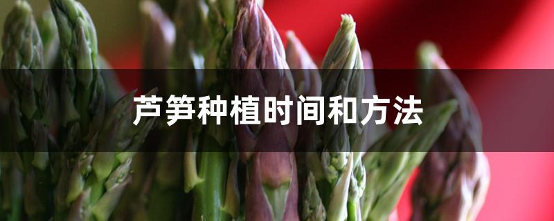 芦笋种植时间和方法