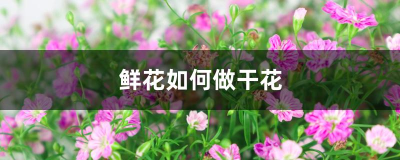 鲜花如何做干花