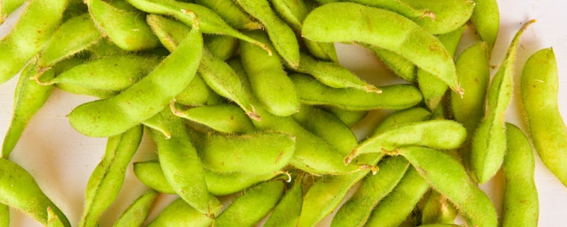 毛豆是黄豆吗 毛豆是黄豆吗