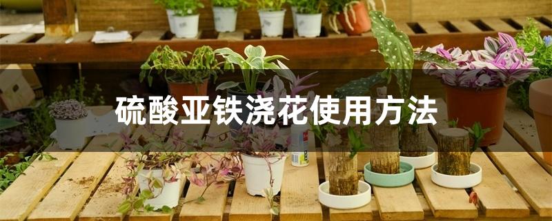 硫酸亚铁浇花使用方法