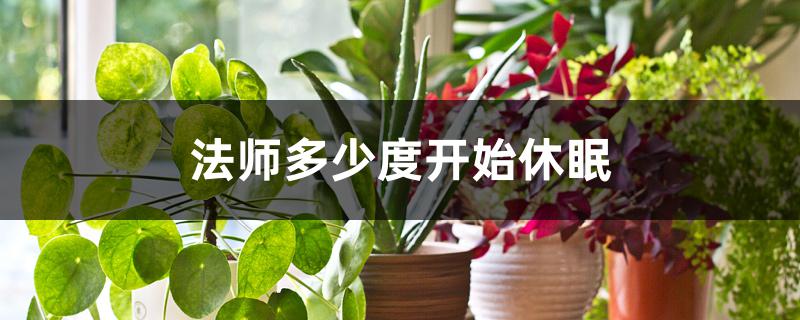 法师多少度开始休眠 法师多少度开始休眠