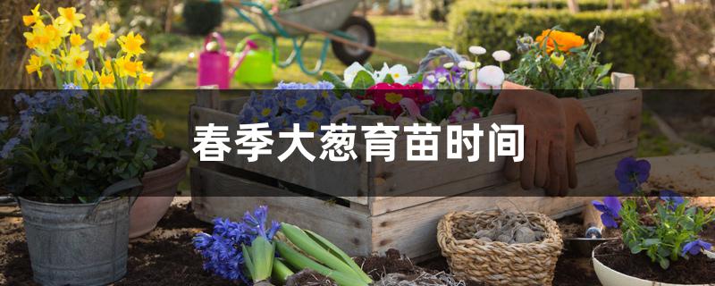 春季大葱育苗时间 春季大葱育苗时间