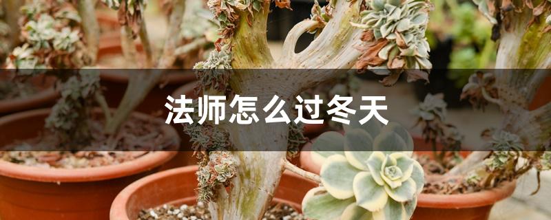 法师怎么过冬天