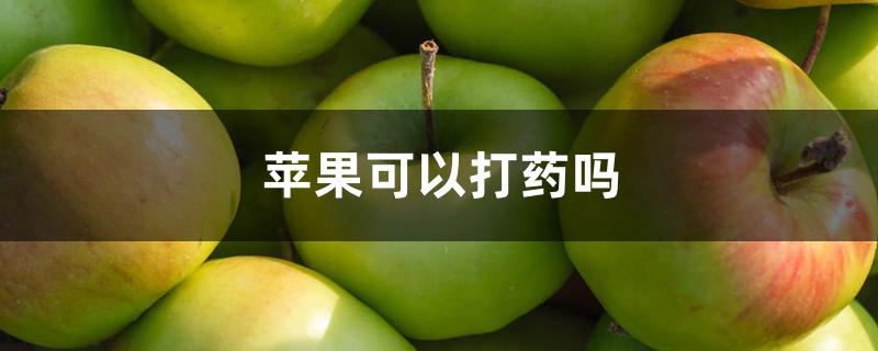 苹果可以打药吗