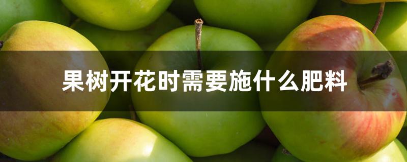 果树开花时需要施什么肥料