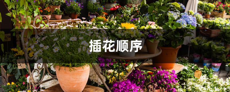 插花顺序 插花顺序