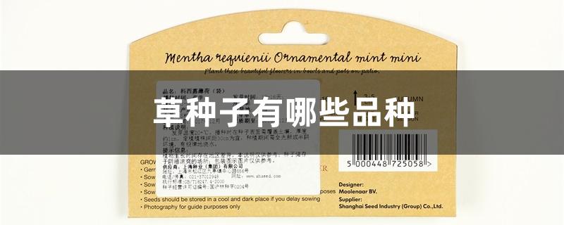 草种子有哪些品种