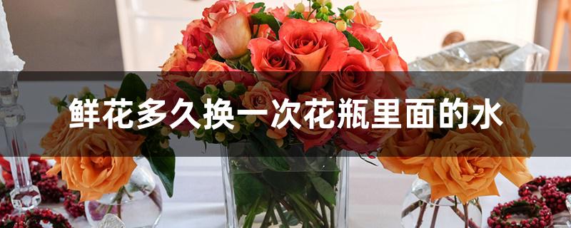 鲜花多久换一次花瓶里面的水