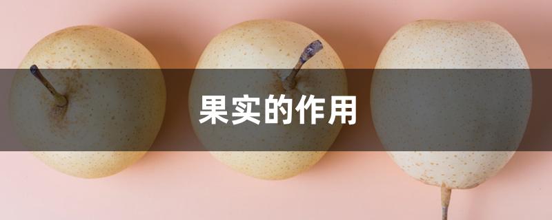 果实的作用