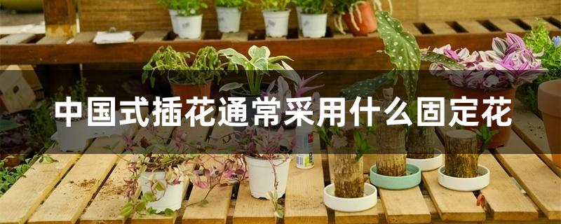 中国式插花通常采用什么固定花