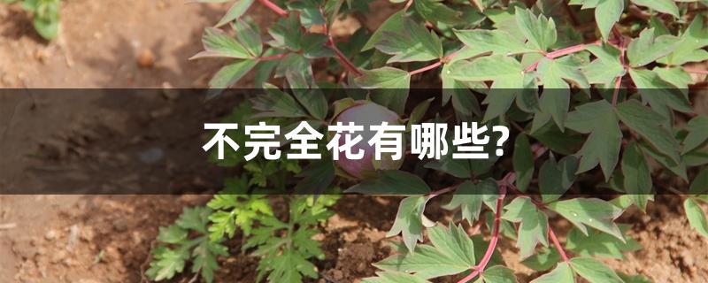 不完全花有哪些? 不完全花有哪些?