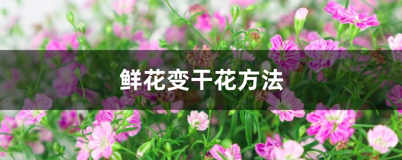 鲜花变干花方法 鲜花变干花方法