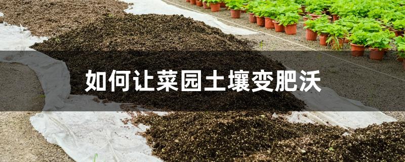 如何让菜园土壤变肥沃