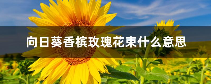 向日葵香槟玫瑰花束什么意思