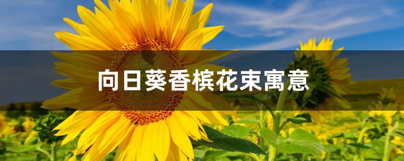 向日葵香槟花束寓意