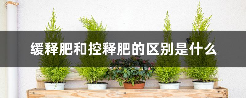 缓释肥和控释肥的区别是什么