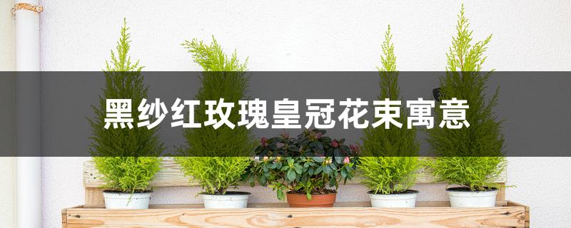 黑纱红玫瑰皇冠花束寓意