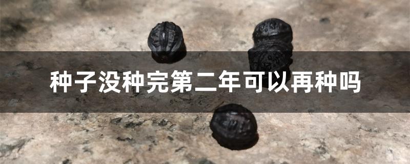 种子没种完第二年可以再种吗
