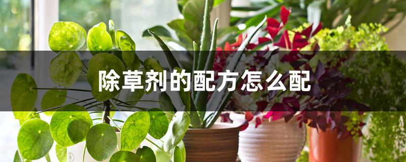 除草剂的配方怎么配 除草剂的配方怎么配