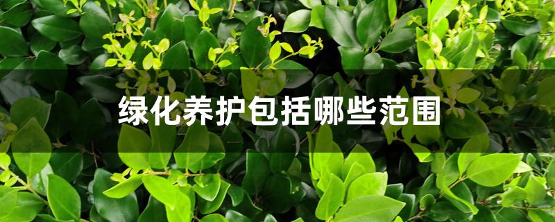 绿化养护包括哪些范围