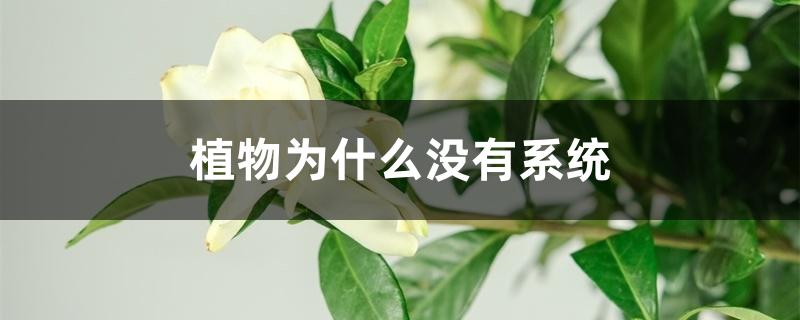 植物为什么没有系统