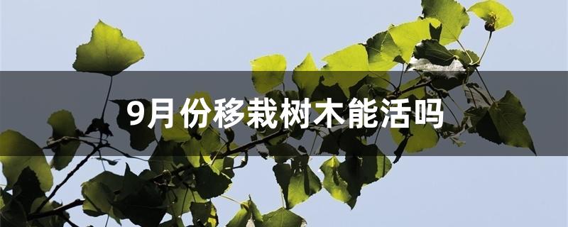 9月份移栽树木能活吗