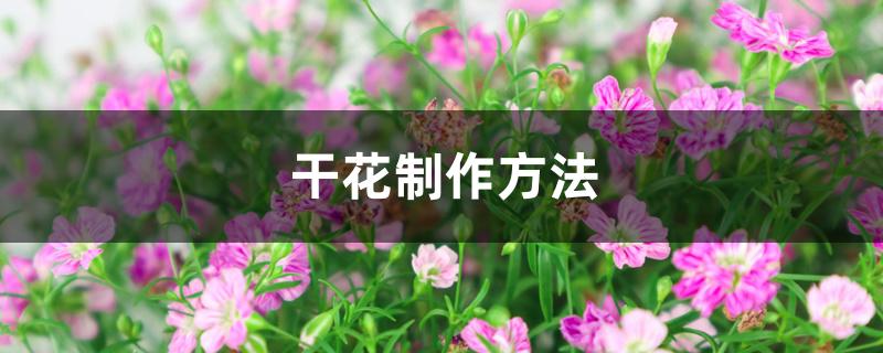 干花制作方法