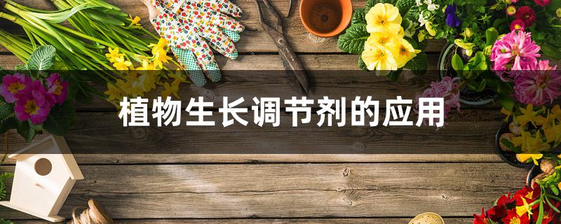植物生长调节剂的应用 植物生长调节剂的应用