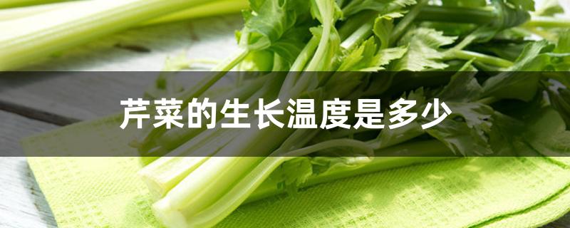 芹菜的生长温度是多少