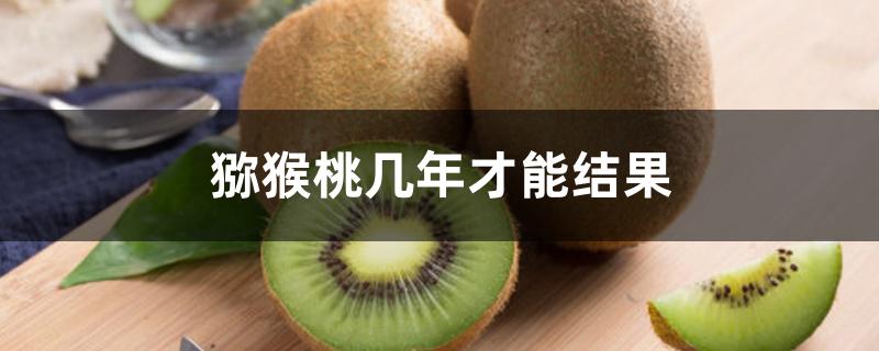 猕猴桃几年才能结果