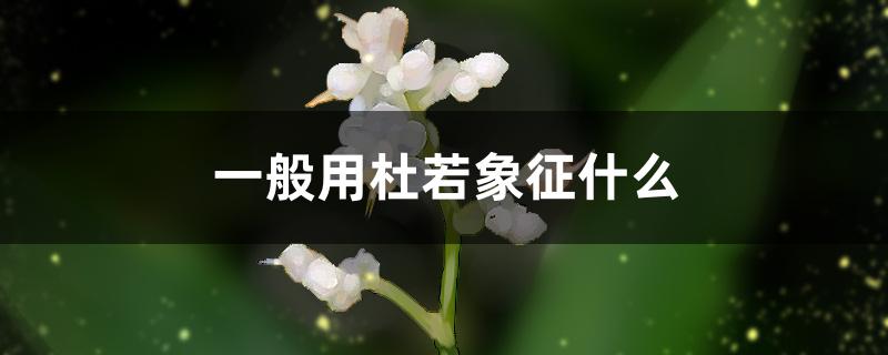 一般用杜若象征什么