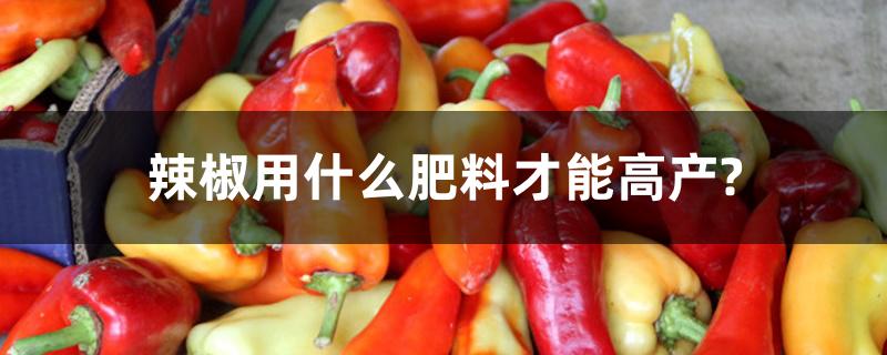 辣椒用什么肥料才能高产? 辣椒用什么肥料才能高产?