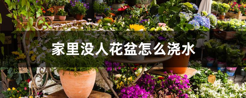 家里没人花盆怎么浇水
