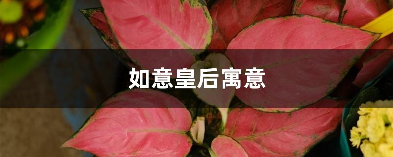 如意皇后寓意