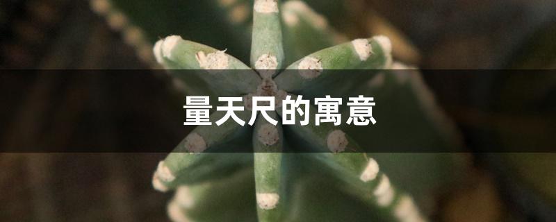 量天尺的寓意