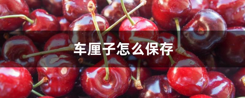 车厘子怎么保存 车厘子怎么保存