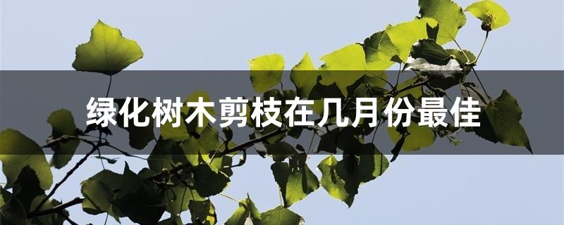 绿化树木剪枝在几月份最佳